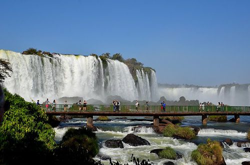 Iguaçu watervallen in Brazilië