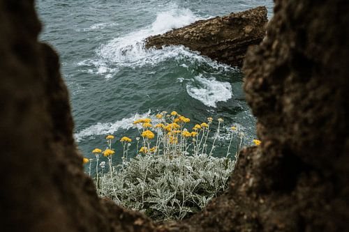 Felsen im Meer bei Biarritz