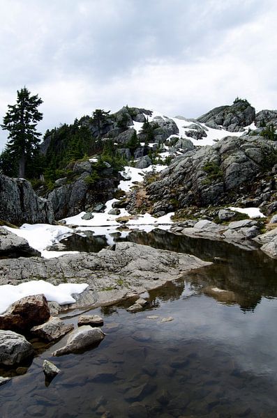 Mt. Seymour Vancouver Canada by Ohana