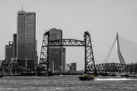 3 ponts de Rotterdam par Rick Van der Poorten Aperçu