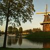  Stadswal Dokkum met molen Zeldenrust in avondlicht van Tim Groeneveld