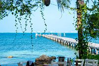 jetée en bois sur une île tropicale