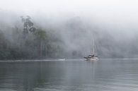 Schiff im Nebel von Joost Winkens Miniaturansicht