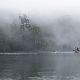 Schip in de mist van Joost Winkens