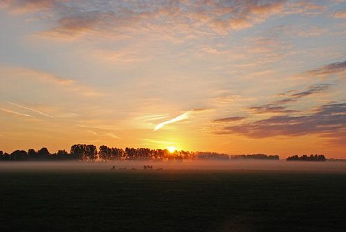 opkomende zon boven Ter Idzard