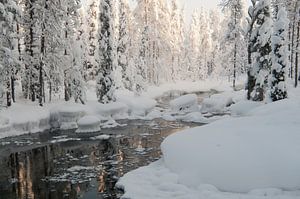 Iso Syöte - Finlande - Laponie sur Erik van 't Hof