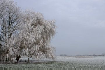Winter von Mirjam Duizendstra