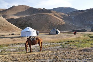 Typische Kirgisischen Landschaft von Adri Vollenhouw