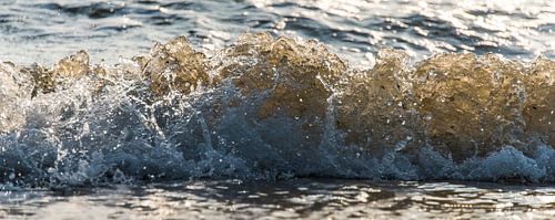 Surf 001 by Alex Hiemstra