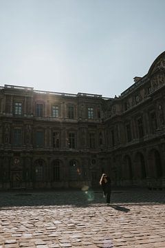 View of the Louvre with backlight, Paris France