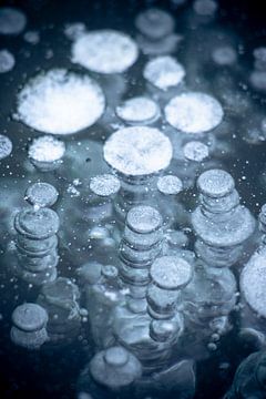 Gas bubbles in ice