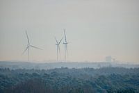 Moulins à vent Pelter