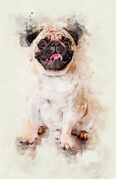 Pug Dog by Pictura Designs