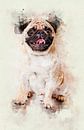 Pug Dog by Pictura Designs thumbnail