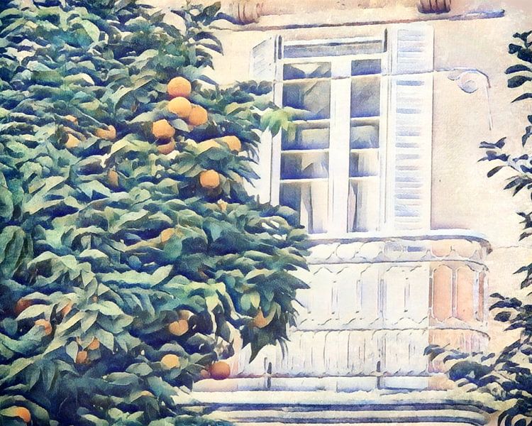 Orange trees in Cadiz by zam art
