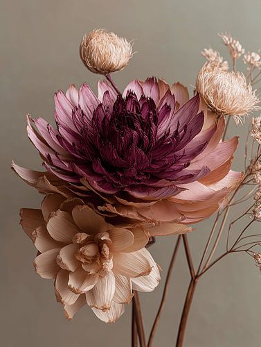 Droogbloemen on natural clear background Beige