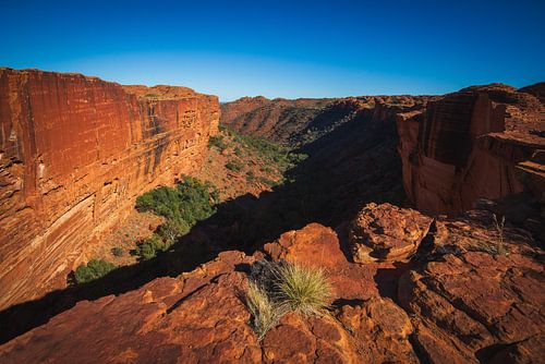 Kings Canyon