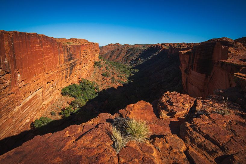 Canyon de Kings par Ronne Vinkx
