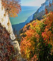 Bij de Königsstuhl, Jasmund National Park