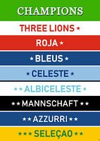 Wereldkampioen voetbal