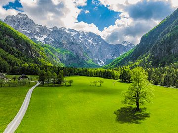 Logar Valley in de Kamnik Savinja Alpen in Slovenië tijdens de lente van Sjoerd van der Wal Fotografie