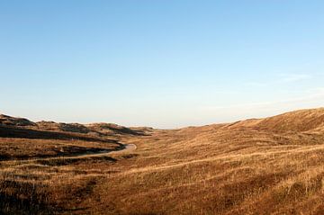 Duinen Julianadorp van Richard Wareham
