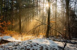 Wintertafereel van Arjen Uijttenboogaart