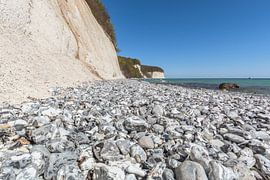 Kreidefelsen, Küste, Rügen, Stubbenkammer von GH Foto & Artdesign