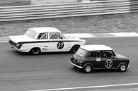 Mini Cooper - Lotus Cortina van Roald Rakers thumbnail