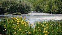 Natuur