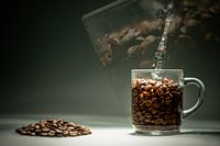 Koffie