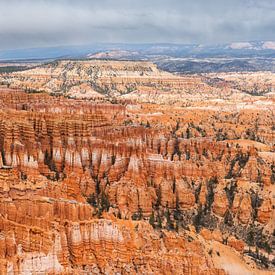 Bryce Canyon von Arnold van Wijk