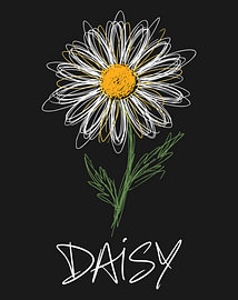 Minimalistisches Poster mit einer Strichzeichnung einer Gänseblümchenblüte von moveit store