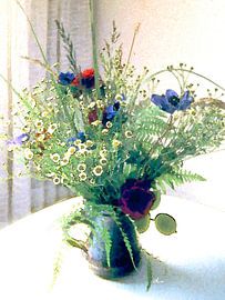 Summer Flower Pitcher by Dirk H. Wendt