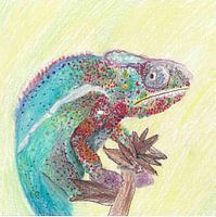 Dessin : caméléon