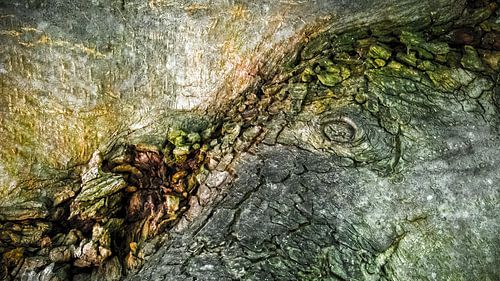 Natural structures 2