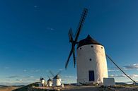 Historische Windmühlen von Don Quijote, in La Mancha (Spanien). von Carlos Charlez Miniaturansicht