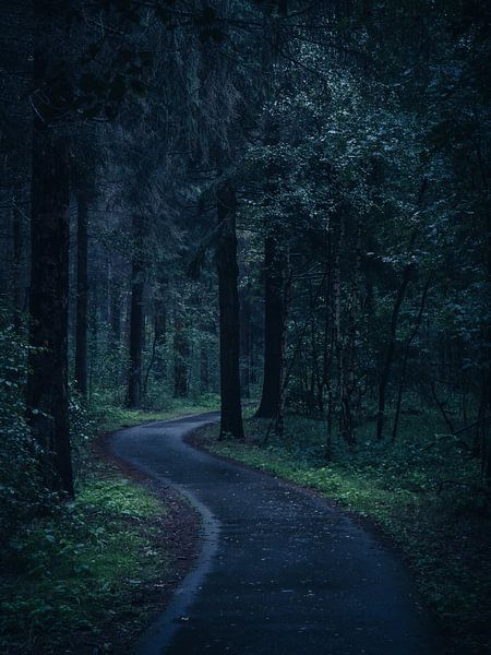 Get lost by snippefotografie