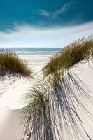 Noordzee Schoonheid Sylt