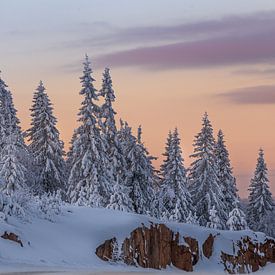 Winterlandschap Zweden van Erwin Stevens