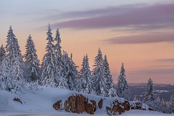 Winterlandschap Zweden van Erwin Stevens
