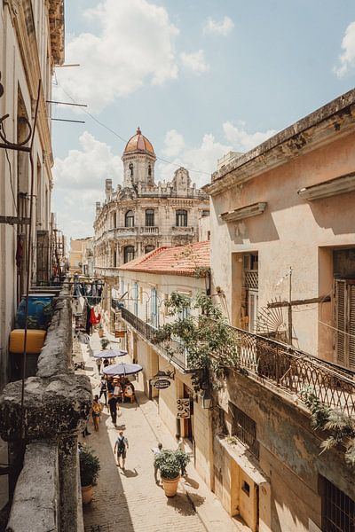 Havana by Hello Pompoyo