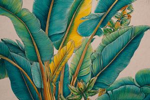 Bananenblätter Tropische Struktur in botanischer Illustration