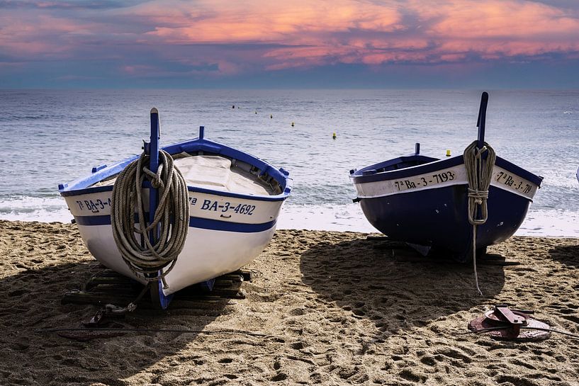 Fishing boats on the beach by Dieter Walther