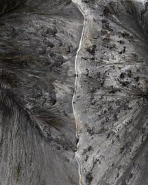 On the Crest by GoWithRico