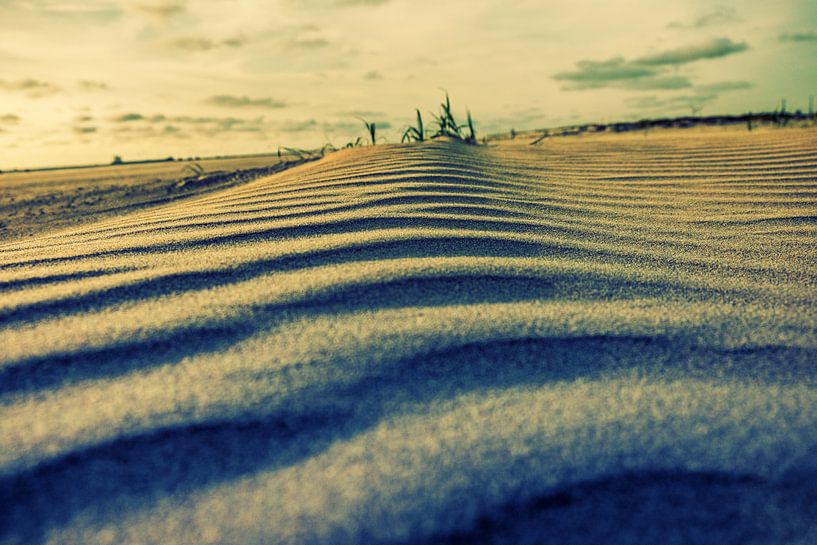 IJmuiden beach par Richard Marks