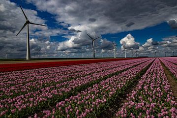 Tulpenvelden met moderne windmolens van Anne Ponsen