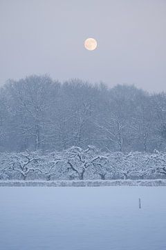 Amelisweerd country estate in winter by Merijn van der Vliet