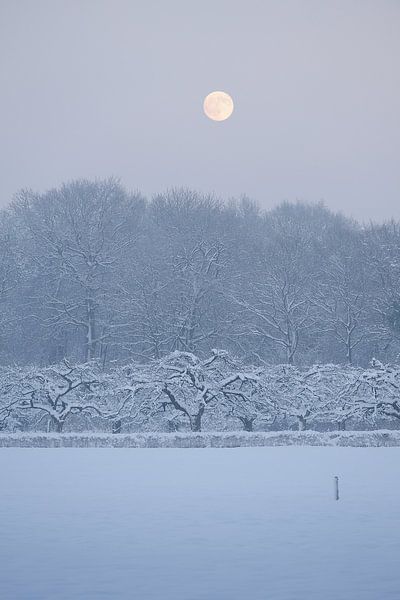 Domaine rural d'Amelisweerd en hiver par Merijn van der Vliet