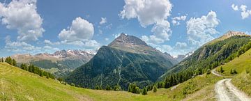 Route de Arollo, Grande Dent de Veisivi, Les Haudères, Wallis - Valais, Zwitserland